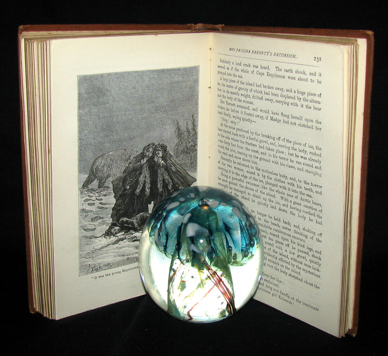 1886 Rare Victorian Book - JULES VERNE FUR COUNTRY or Seventy Degrees North Latitude