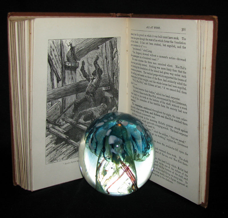 1886 Rare Victorian Book - JULES VERNE FUR COUNTRY or Seventy Degrees North Latitude