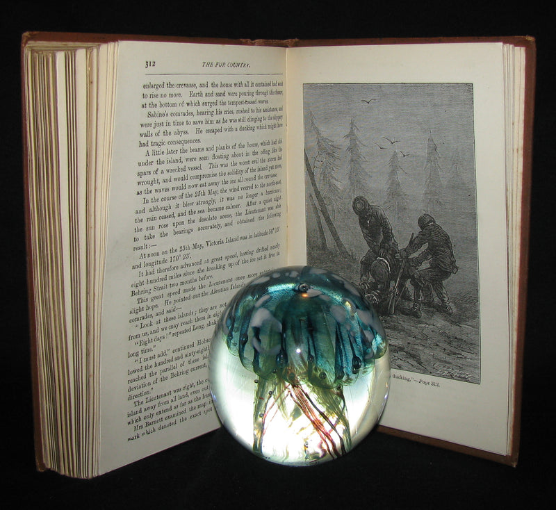 1886 Rare Victorian Book - JULES VERNE FUR COUNTRY or Seventy Degrees North Latitude