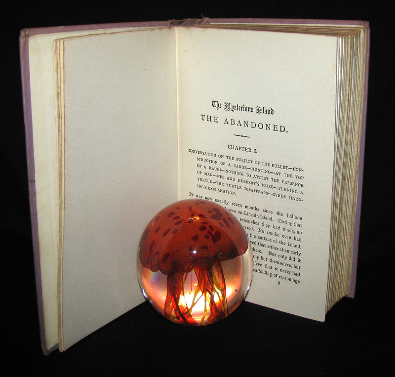 1910 Rare Illustrated Book - Abandoned being the second part of The Mysterious Island by Jules Verne