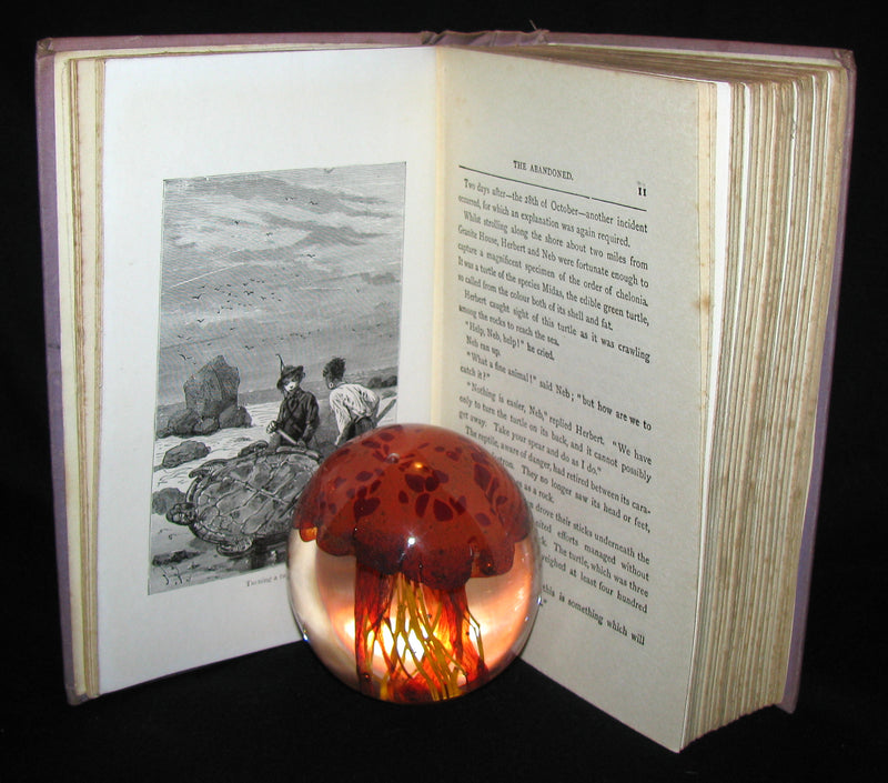 1910 Rare Illustrated Book - Abandoned being the second part of The Mysterious Island by Jules Verne