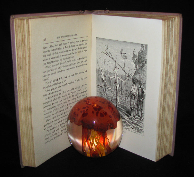 1910 Rare Illustrated Book - Abandoned being the second part of The Mysterious Island by Jules Verne