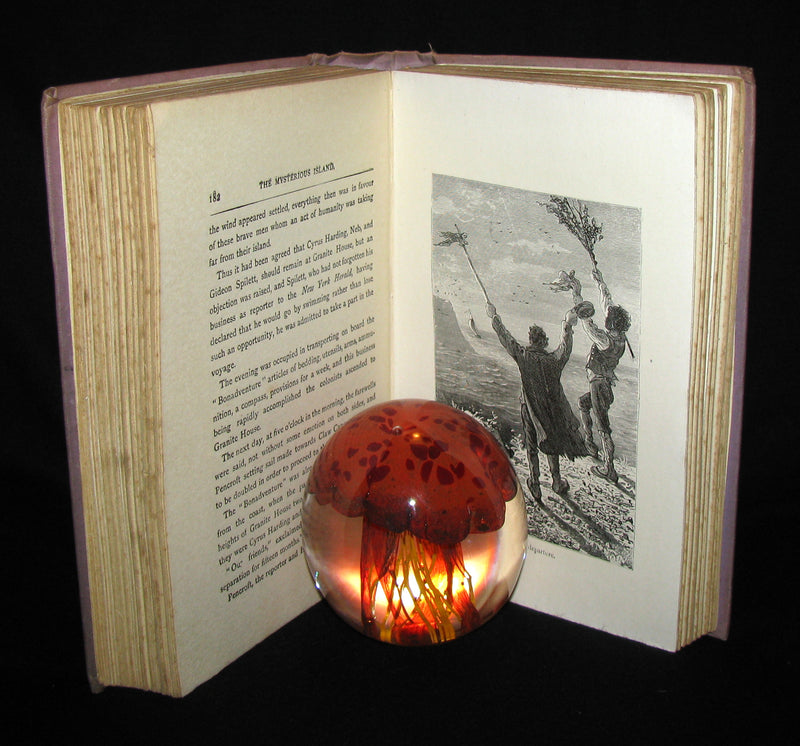 1910 Rare Illustrated Book - Abandoned being the second part of The Mysterious Island by Jules Verne