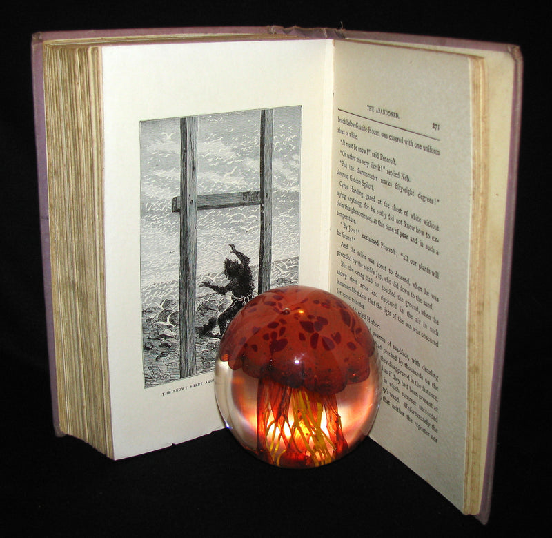 1910 Rare Illustrated Book - Abandoned being the second part of The Mysterious Island by Jules Verne