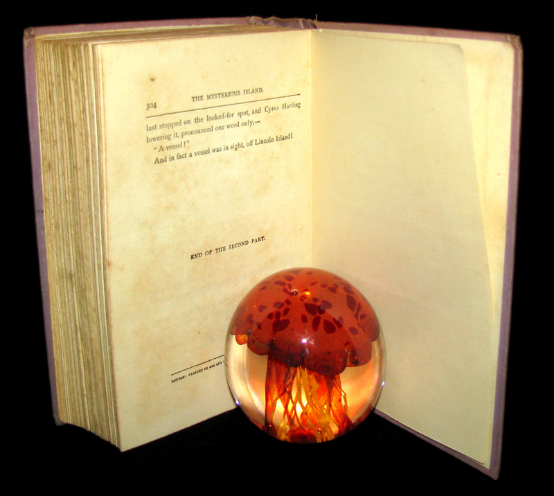 1910 Rare Illustrated Book - Abandoned being the second part of The Mysterious Island by Jules Verne