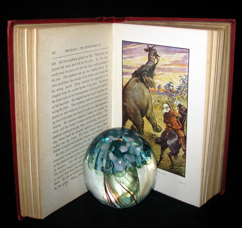 1900 Rare Book - Adventures of 3 Englishmen and 3 Russians in South Africa by Jules Verne