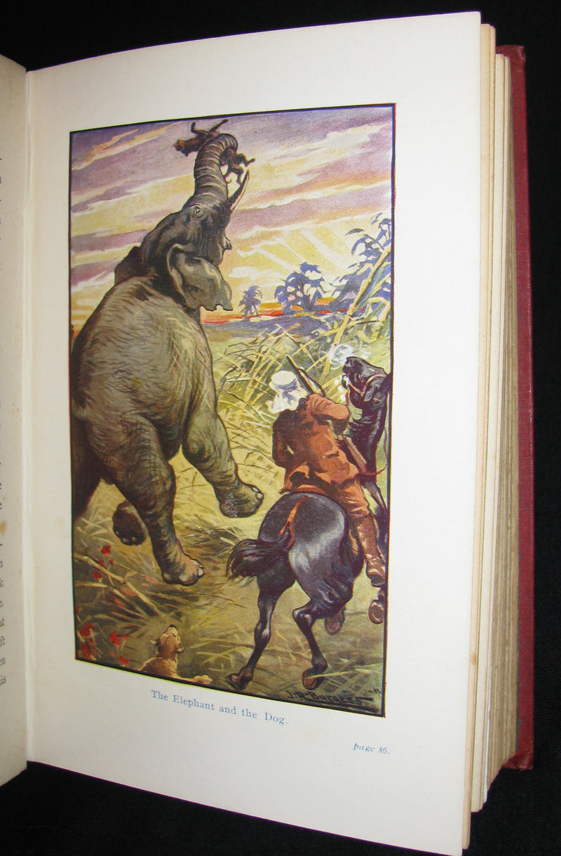 1900 Rare Book - Adventures of 3 Englishmen and 3 Russians in South Africa by Jules Verne