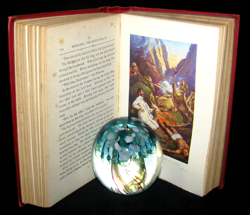 1900 Rare Book - Adventures of 3 Englishmen and 3 Russians in South Africa by Jules Verne