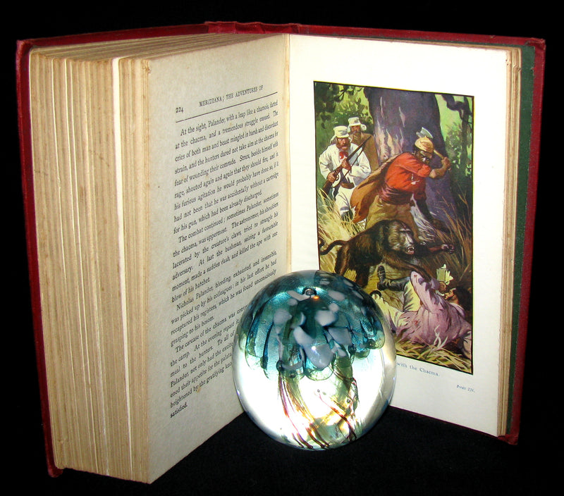 1900 Rare Book - Adventures of 3 Englishmen and 3 Russians in South Africa by Jules Verne