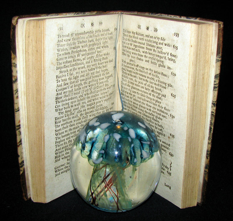 1776 Very Rare Book - The Odyssey of Homer translated in English by Alexander Pope, Esq.