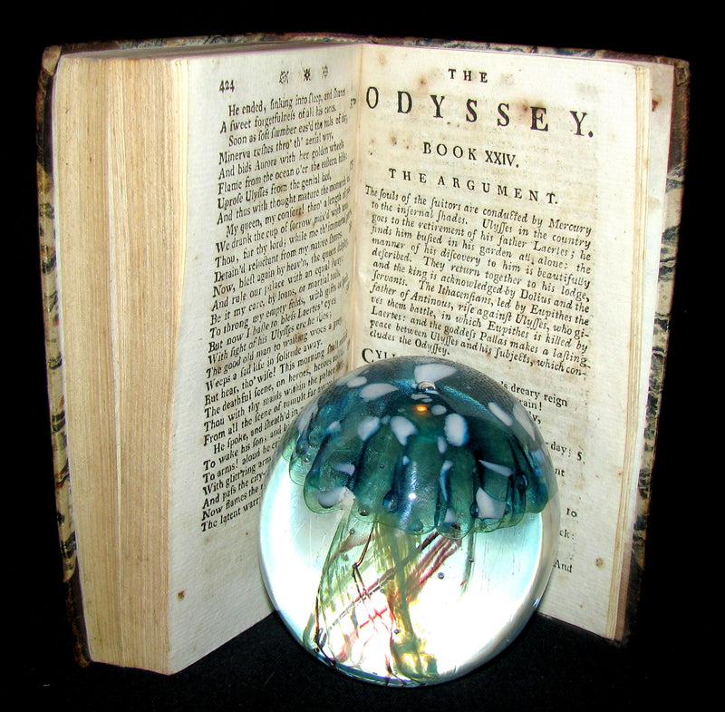 1776 Very Rare Book - The Odyssey of Homer translated in English by Alexander Pope, Esq.