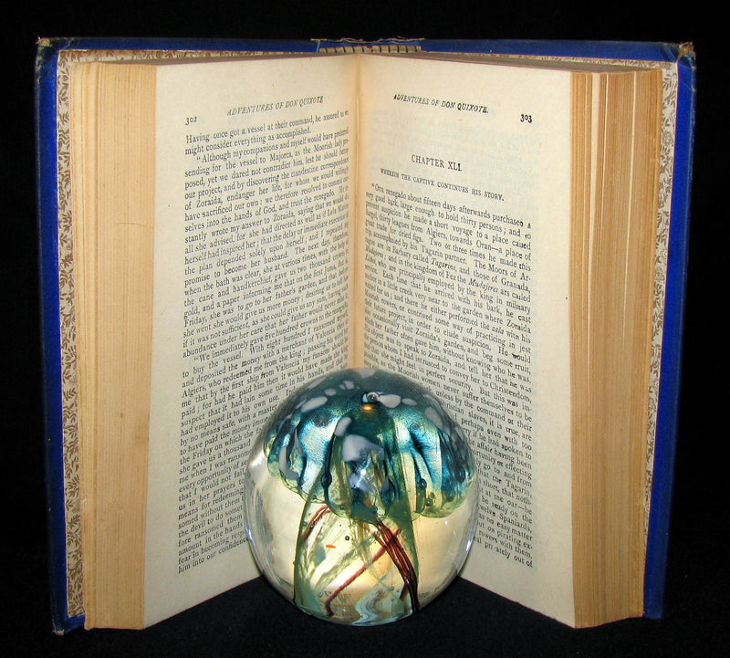 1880 Rare Victorian Book ~ Adventures of Don Quixote De La Mancha Illustrated