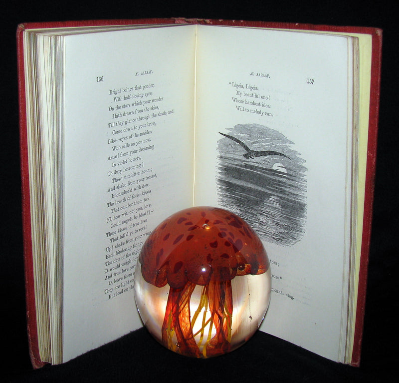 1859 Rare Book - The Poetical Works of EDGAR ALLAN POE with A Notice of his Life