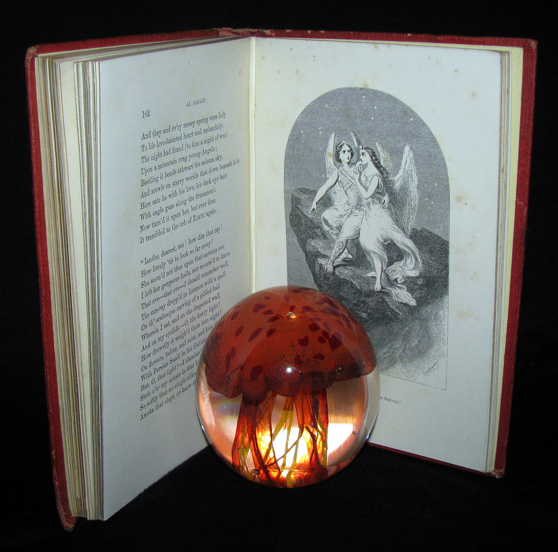 1859 Rare Book - The Poetical Works of EDGAR ALLAN POE with A Notice of his Life