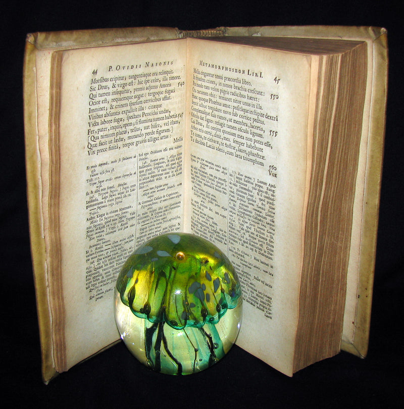 1702 Scarce Latin vellum Book - OVID Metamorphoseon - Illustrated with 16 copperplates