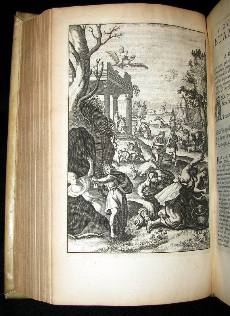 1702 Scarce Latin vellum Book - OVID Metamorphoseon - Illustrated with 16 copperplates