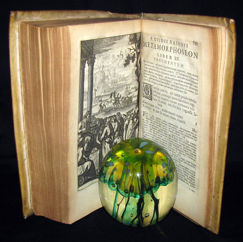 1702 Scarce Latin vellum Book - OVID Metamorphoseon - Illustrated with 16 copperplates