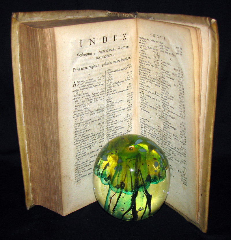 1702 Scarce Latin vellum Book - OVID Metamorphoseon - Illustrated with 16 copperplates