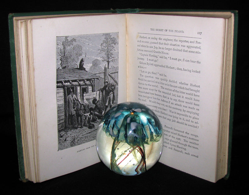 1876 Rare Second Edition - The Secret of the Island by Jules Verne. Illustrated.