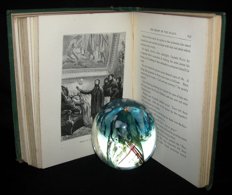 1876 Rare Second Edition - The Secret of the Island by Jules Verne. Illustrated.