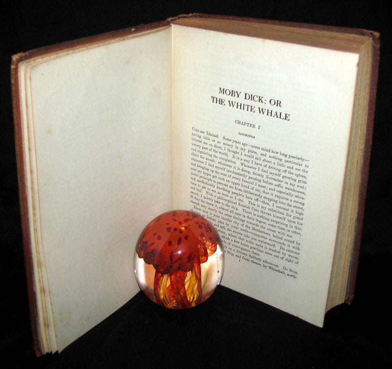1930 Rare Book - Moby Dick or The White Whale by Herman Melville, illustrated by Mead Schaeffer