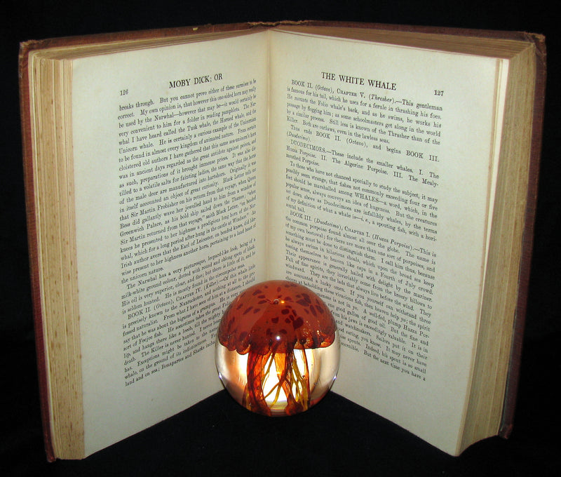 1930 Rare Book - Moby Dick or The White Whale by Herman Melville, illustrated by Mead Schaeffer