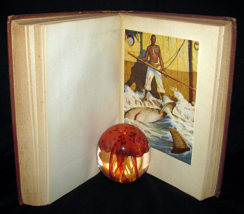 1930 Rare Book - Moby Dick or The White Whale by Herman Melville, illustrated by Mead Schaeffer