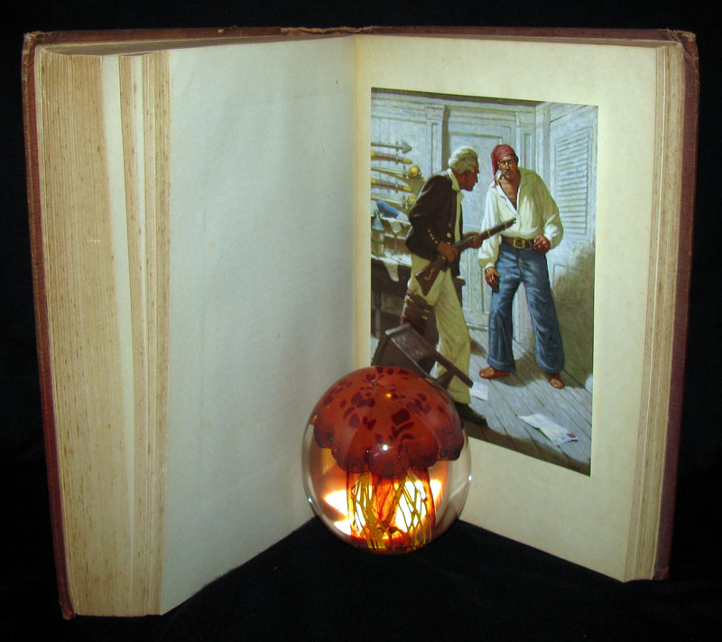 1930 Rare Book - Moby Dick or The White Whale by Herman Melville, illustrated by Mead Schaeffer