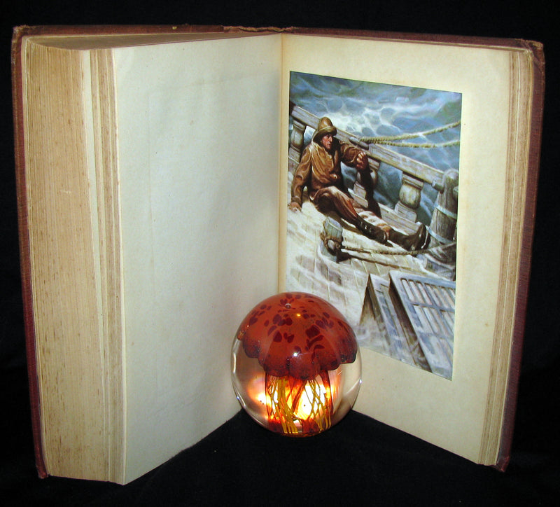 1930 Rare Book - Moby Dick or The White Whale by Herman Melville, illustrated by Mead Schaeffer