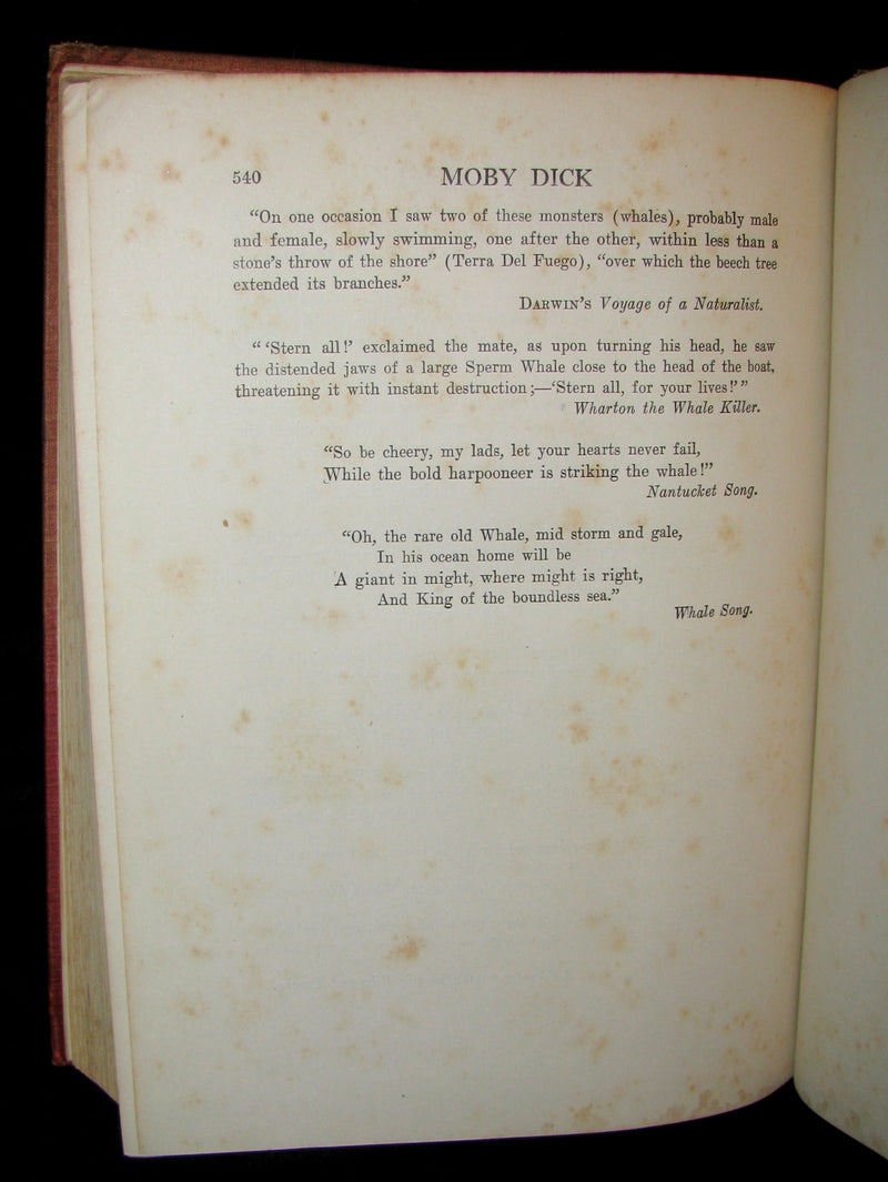 1930 Rare Book - Moby Dick or The White Whale by Herman Melville, illustrated by Mead Schaeffer