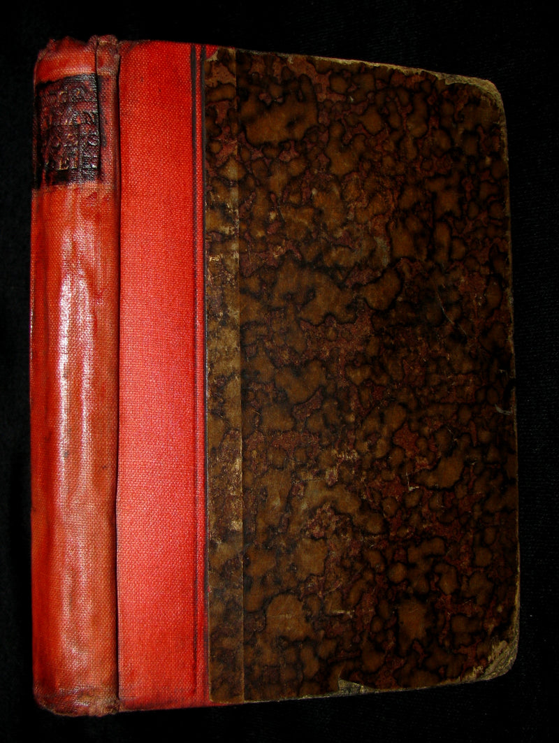 1887 Rare Book - Poems by Edgar Allan POE (The Raven, Lenore, Ulalume, ...)