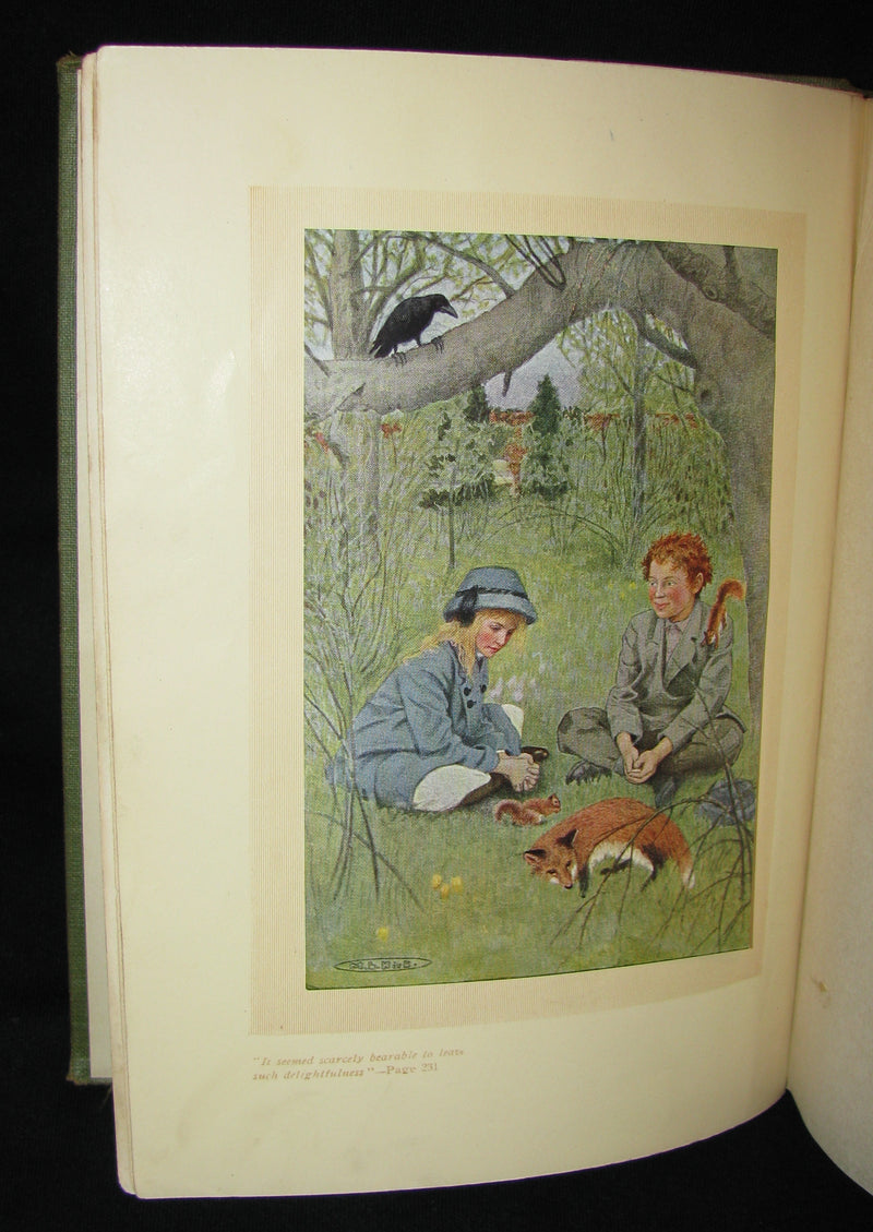 1911 Rare Book Early Edition - The Secret Garden by Frances Hodgson Burnett