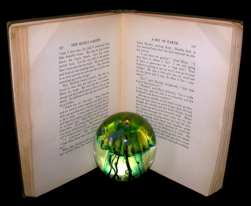 1911 Rare Book Early Edition - The Secret Garden by Frances Hodgson Burnett