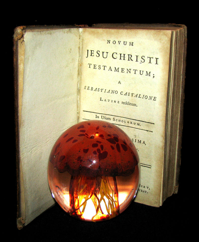 1740 Rare Latin Book - Novum Jesu Christi Testamentum - New Testament