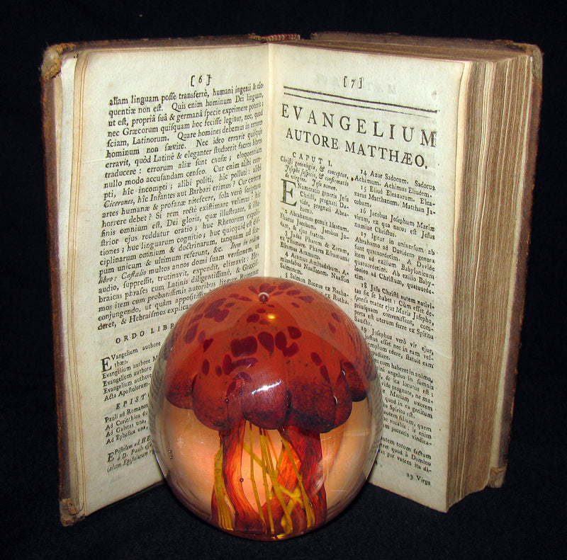 1740 Rare Latin Book - Novum Jesu Christi Testamentum - New Testament