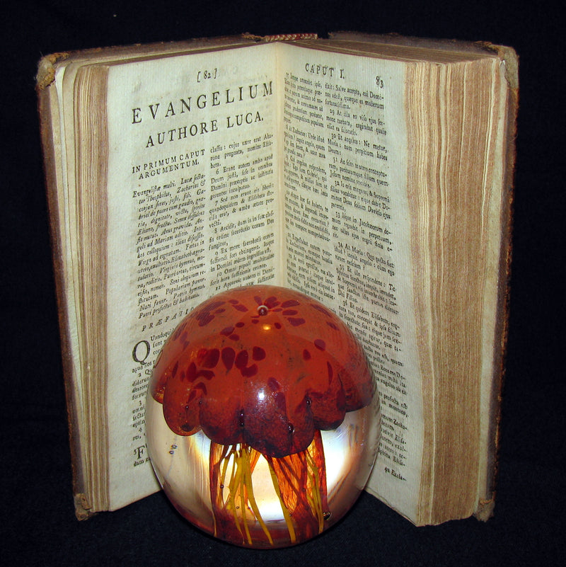 1740 Rare Latin Book - Novum Jesu Christi Testamentum - New Testament