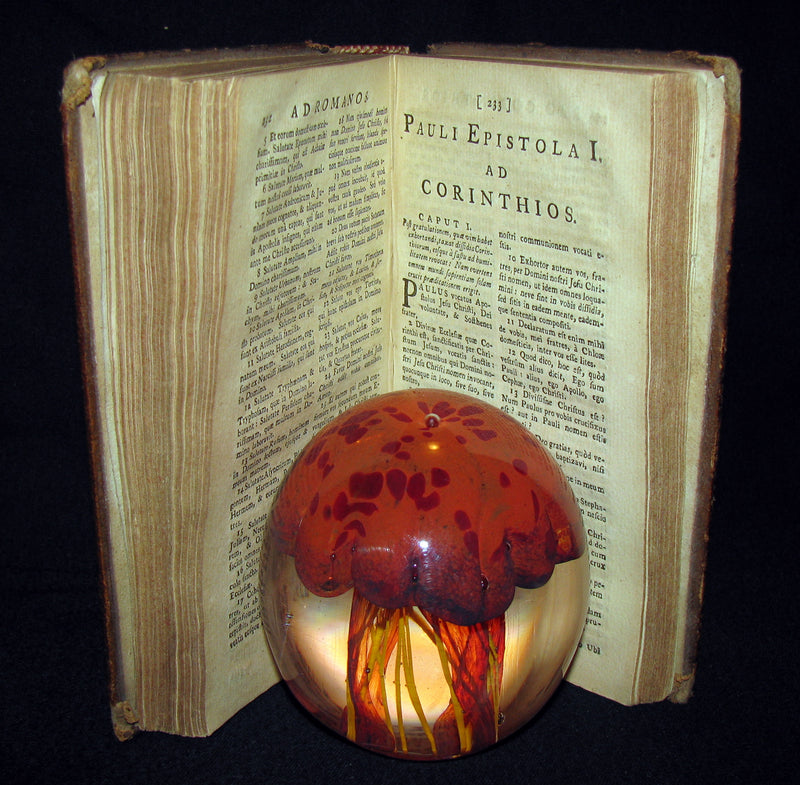 1740 Rare Latin Book - Novum Jesu Christi Testamentum - New Testament