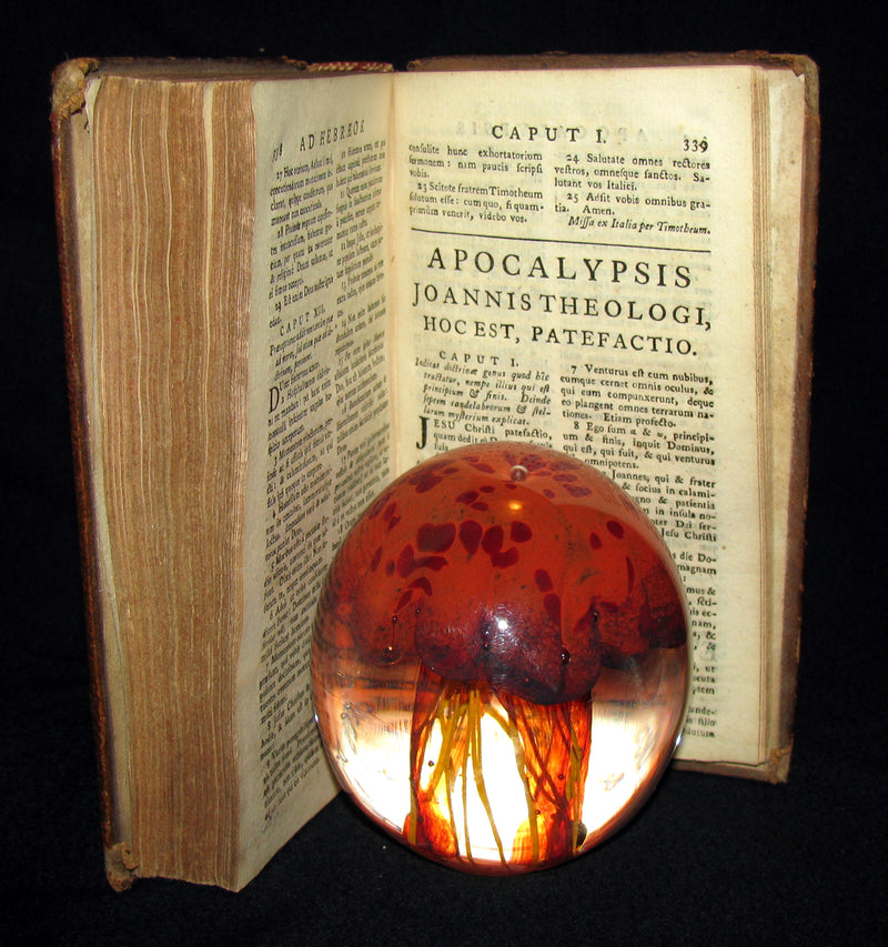 1740 Rare Latin Book - Novum Jesu Christi Testamentum - New Testament