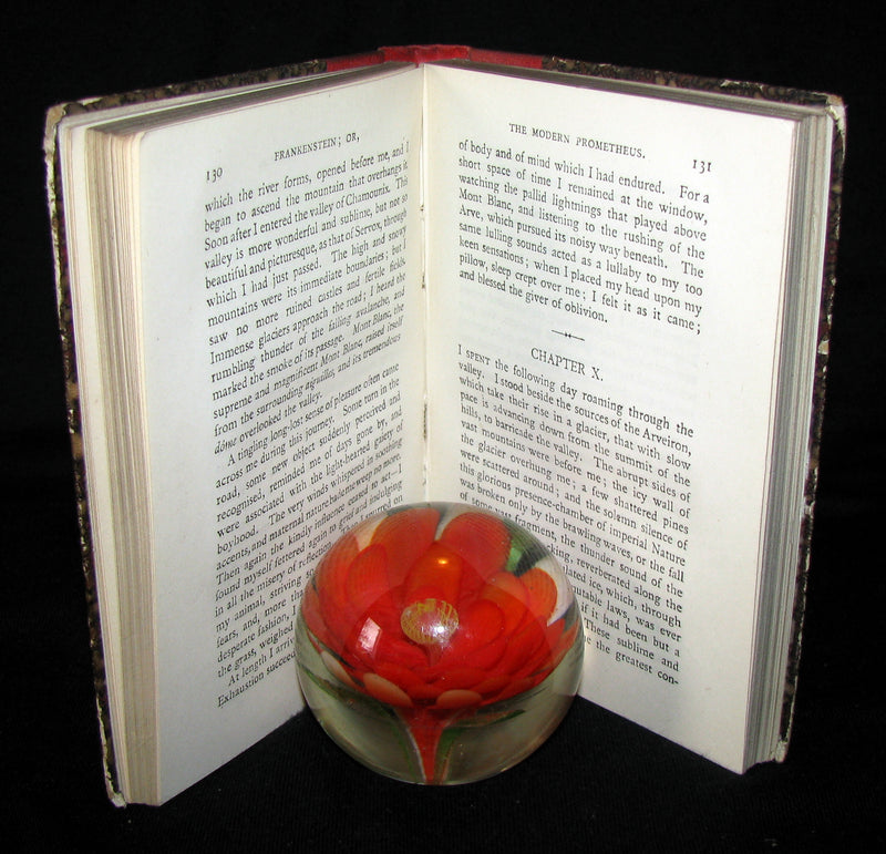 1888 Very Rare Book - FRANKENSTEIN  or, The Modern Prometheus by Mary Shelley
