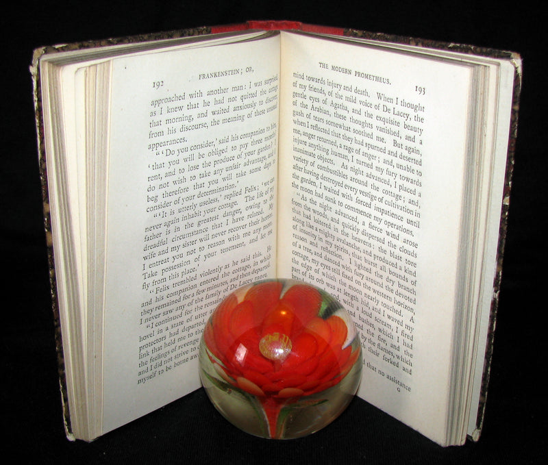 1888 Very Rare Book - FRANKENSTEIN  or, The Modern Prometheus by Mary Shelley
