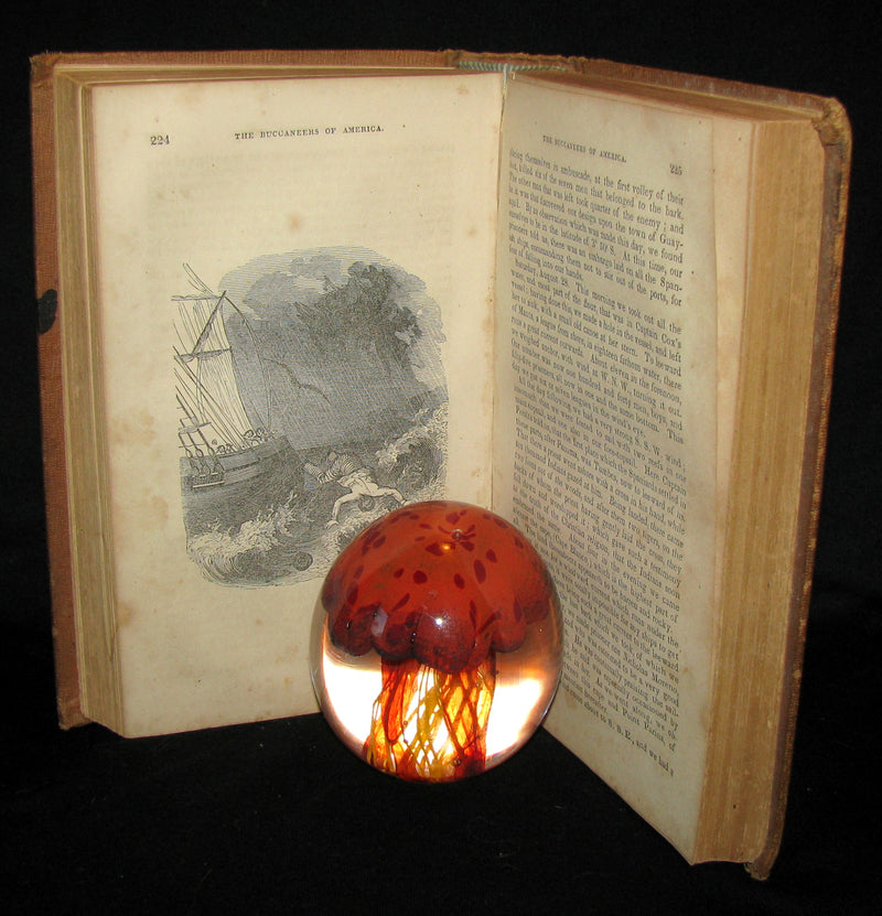 1851 Rare Book - Exquemelin -The History Of The Buccaneers Of America