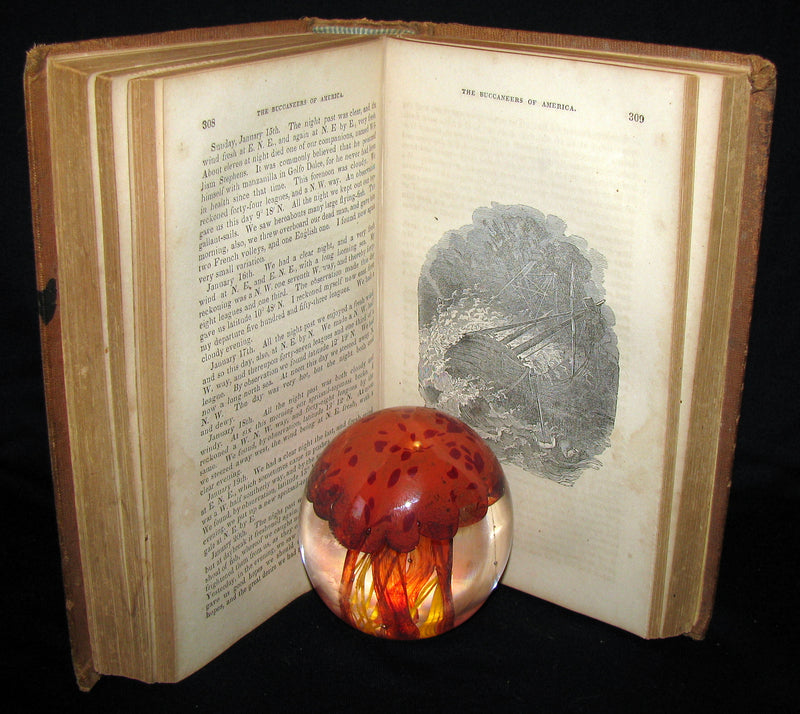 1851 Rare Book - Exquemelin -The History Of The Buccaneers Of America