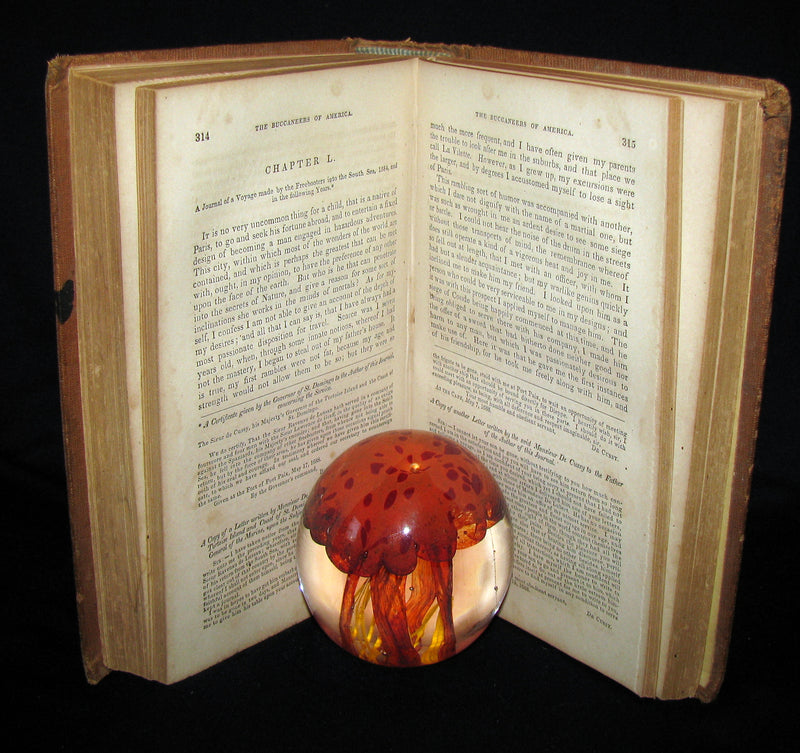 1851 Rare Book - Exquemelin -The History Of The Buccaneers Of America