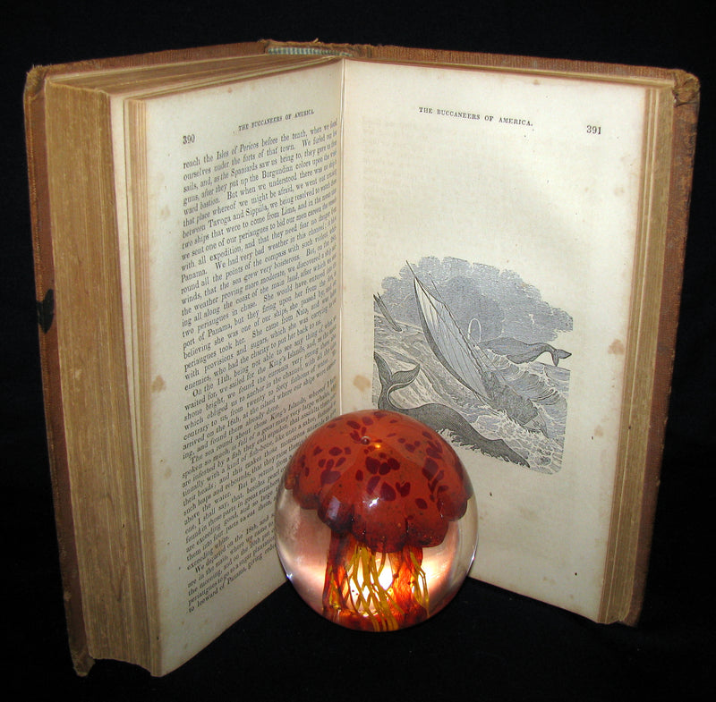 1851 Rare Book - Exquemelin -The History Of The Buccaneers Of America