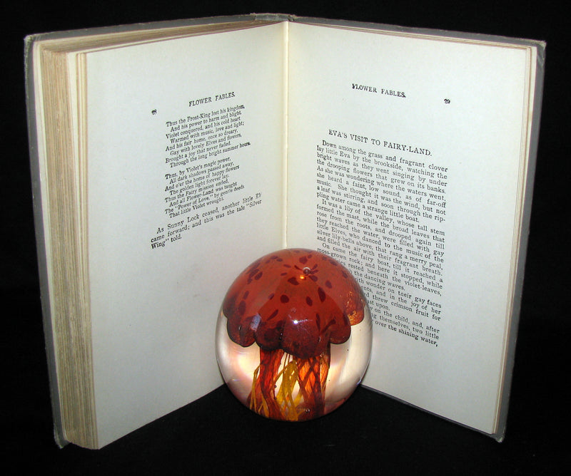 1900's Rare Conkey Edition - Alice's Adventures in Wonderland by Lewis Carroll