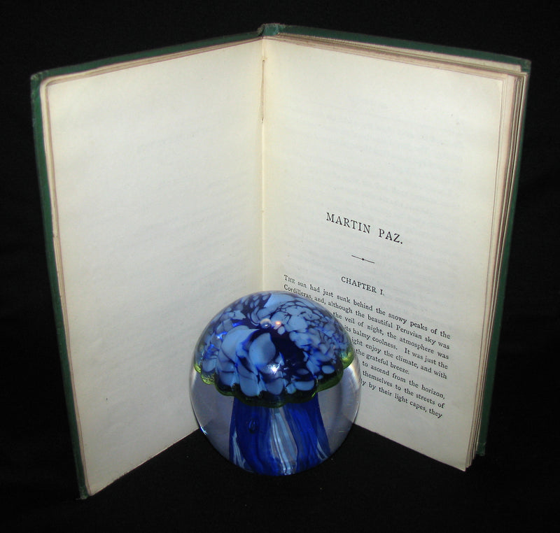 1876 Scarce First UK Edition - Martin Paz The Indian Patriot by Jules Verne. Illustrated.