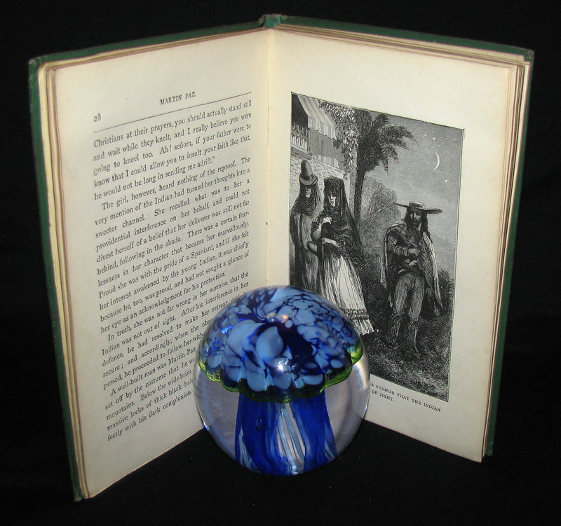 1876 Scarce First UK Edition - Martin Paz The Indian Patriot by Jules Verne. Illustrated.