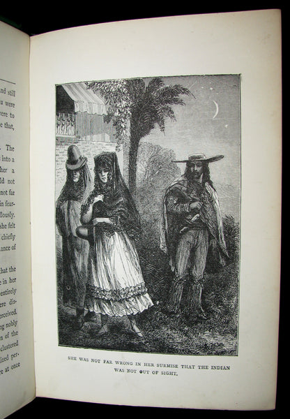1876 Scarce First UK Edition - Martin Paz The Indian Patriot by Jules Verne. Illustrated.