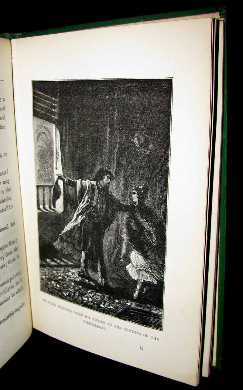 1876 Scarce First UK Edition - Martin Paz The Indian Patriot by Jules Verne. Illustrated.