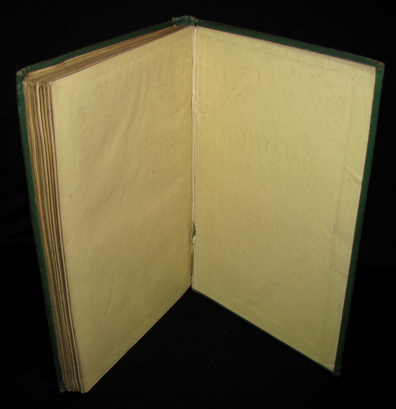 1876 Scarce First UK Edition - Martin Paz The Indian Patriot by Jules Verne. Illustrated.